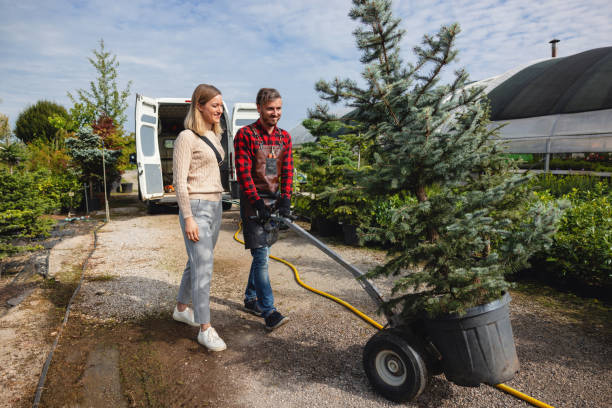 Best Local Tree Services  in USA